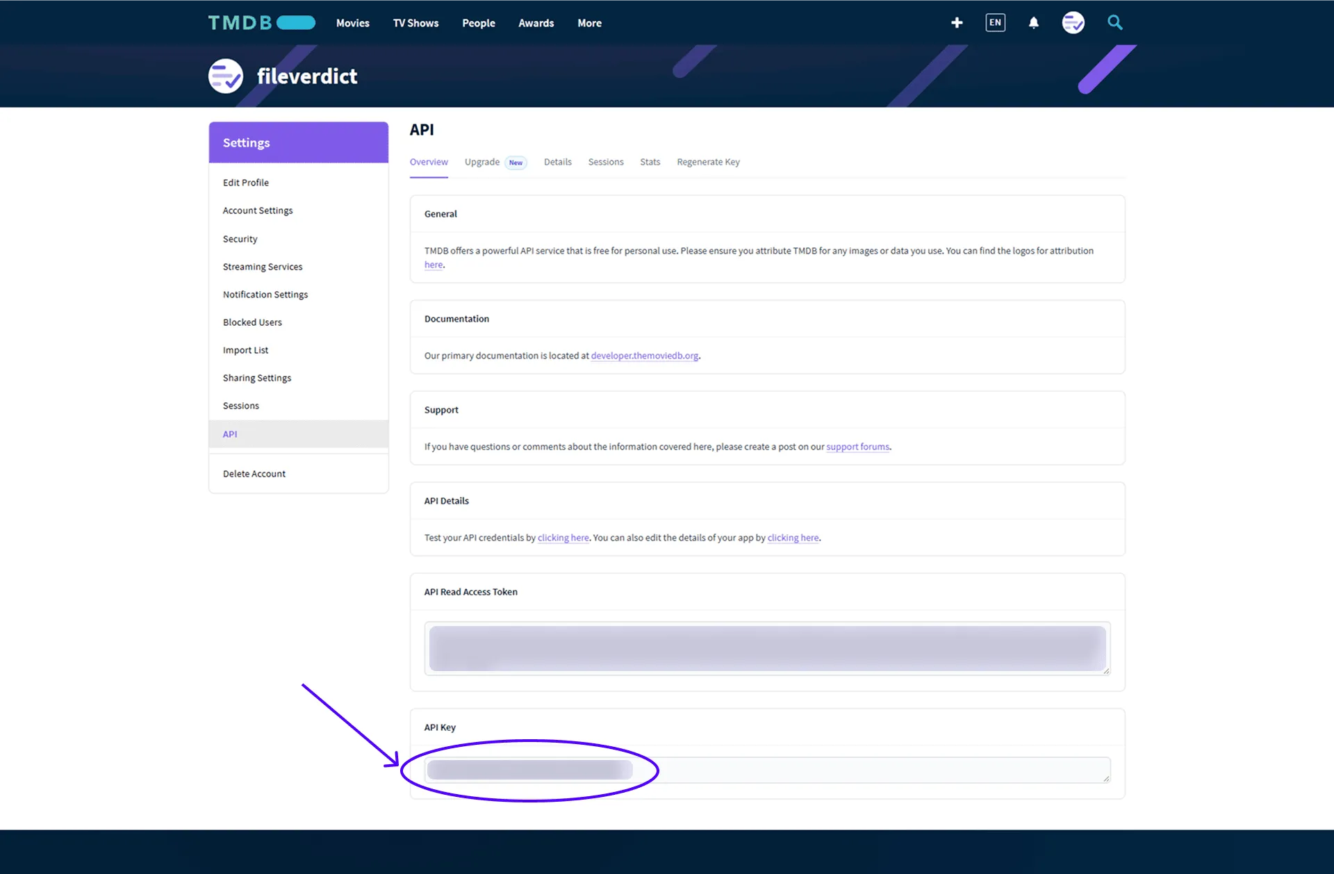 TMDB’s API page, with the long API Read Access Token above and the API Key at the bottom circled